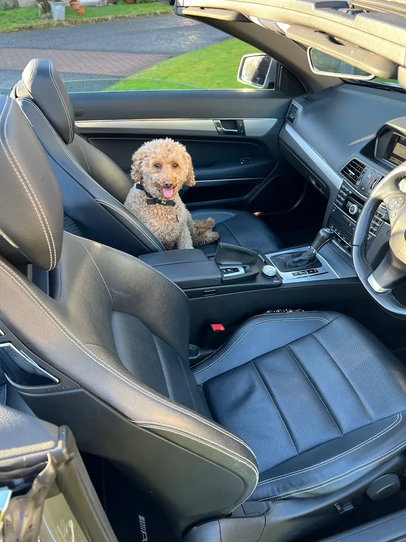 Alba Motor Co Ltd photo 5