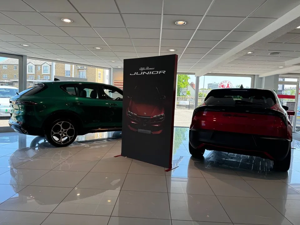 Alfa Romeo D Salmon Cars photo 5