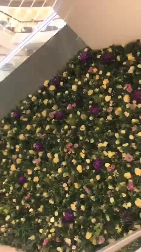 Buchanan Galleries photo 8