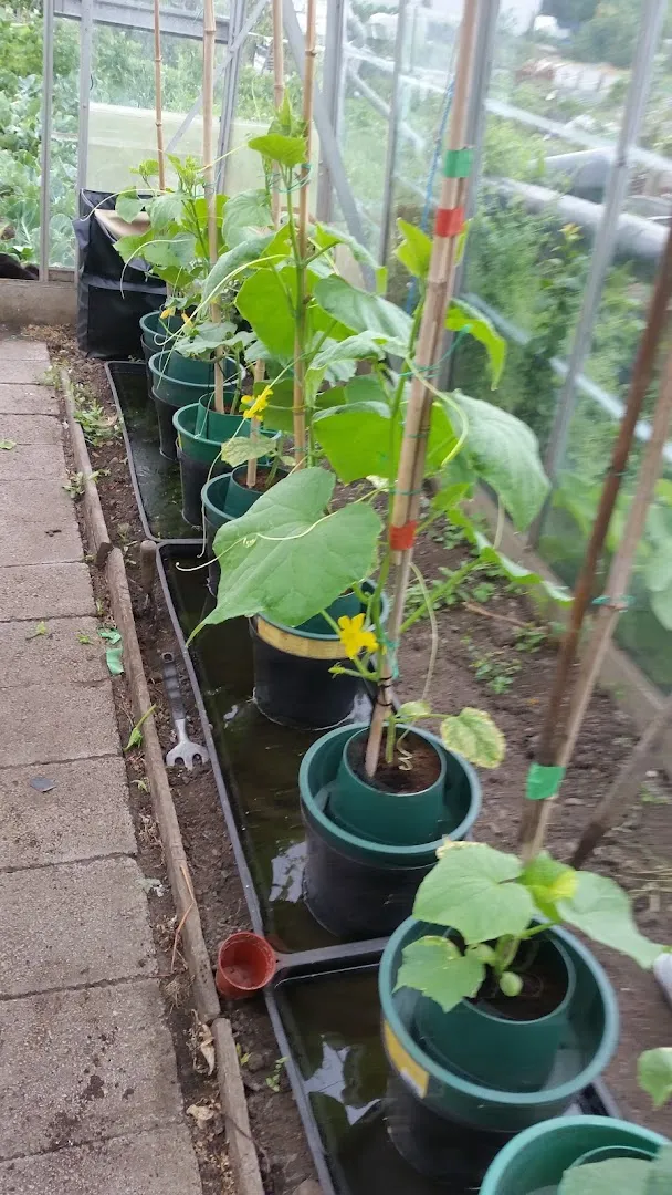 C F Vehicle Wholesale Ltd photo 8