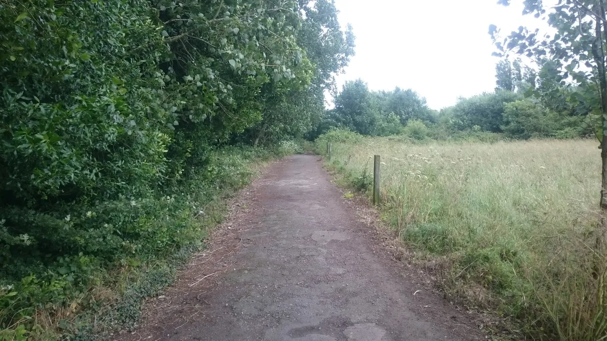 Chana Car Centre photo 10