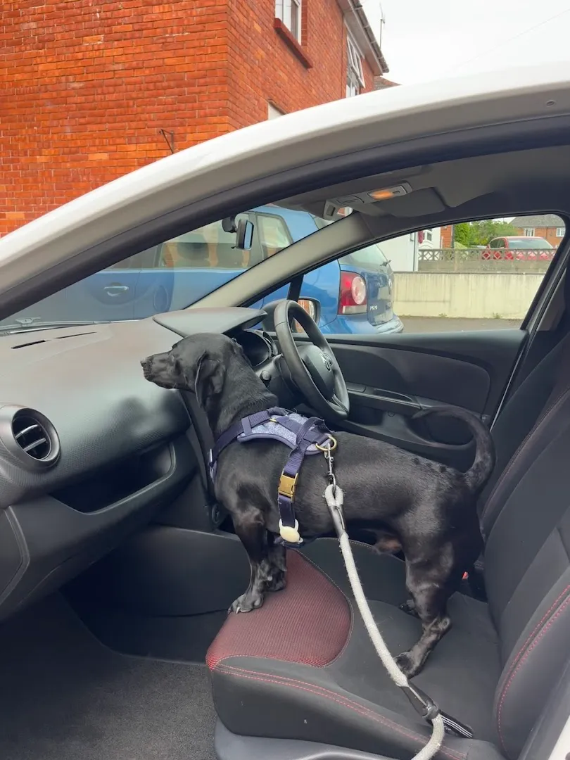 Coastal Automotive Sales Ltd photo 3