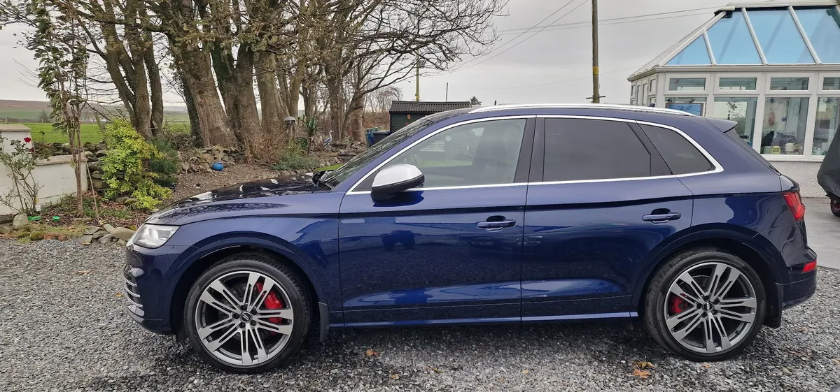 David James photo 10