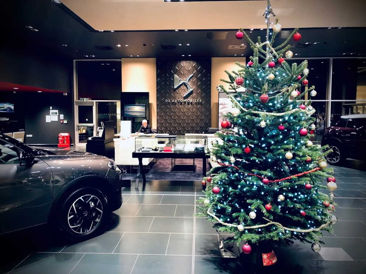 DS Salon Ipswich photo 5