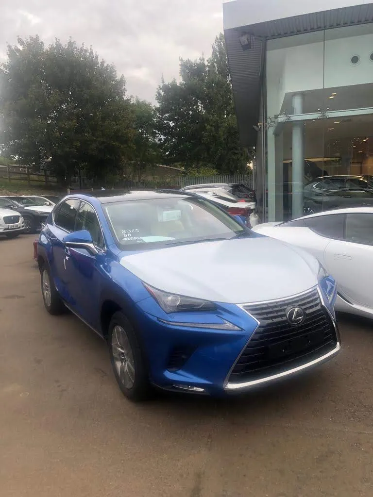 Lexus Hatfield photo 7