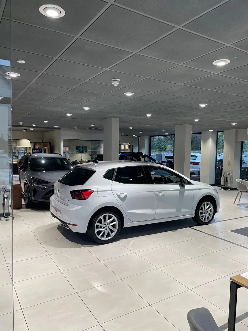 Marshall SEAT Reading photo 4