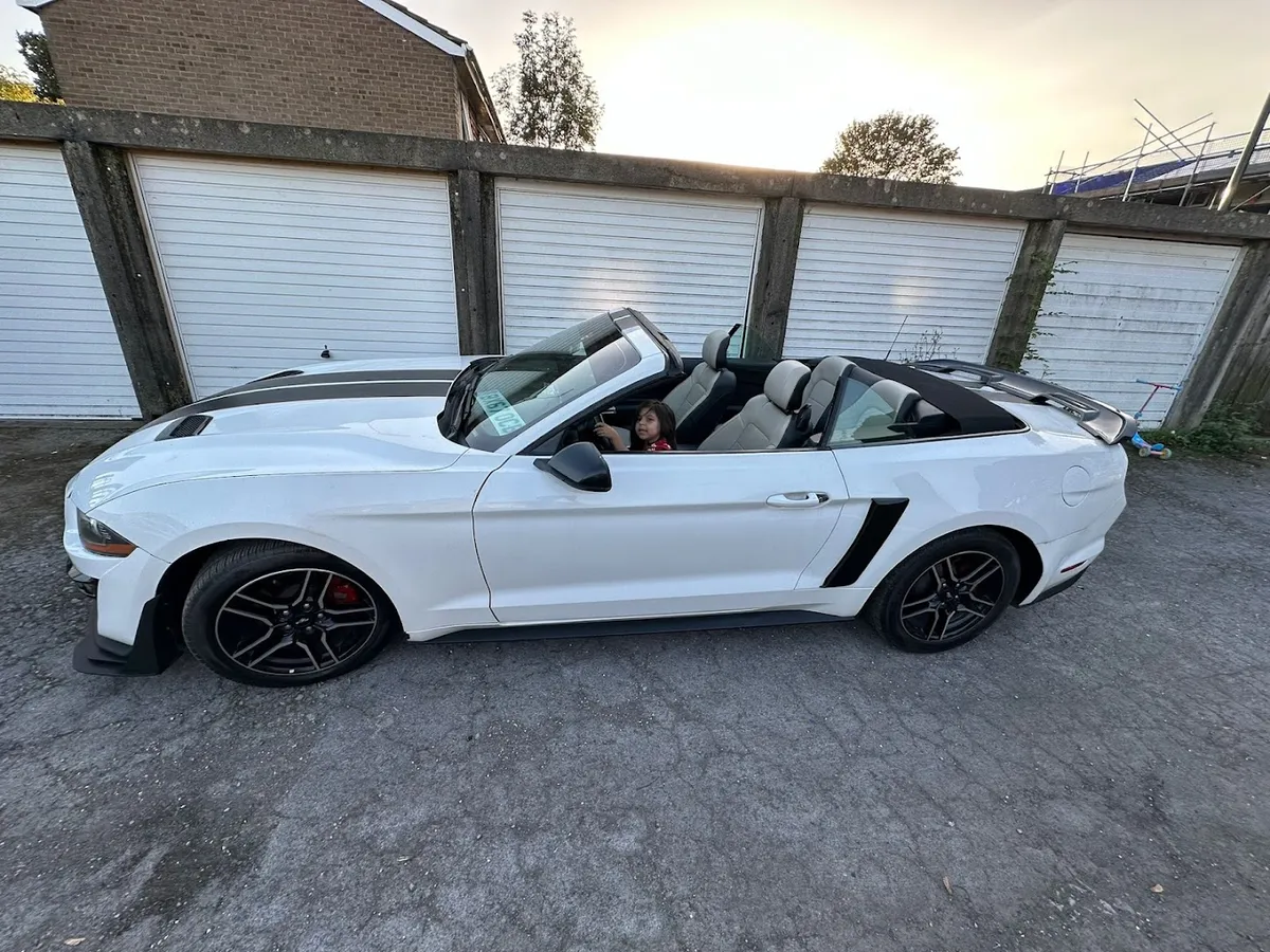 MCS MOTOR GROUP photo 9