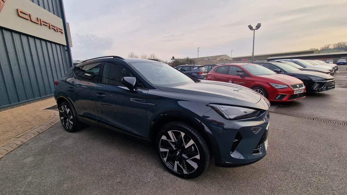 White Dove Cardiff photo 4