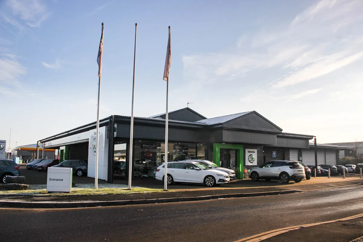 White Dove Cardiff photo 9